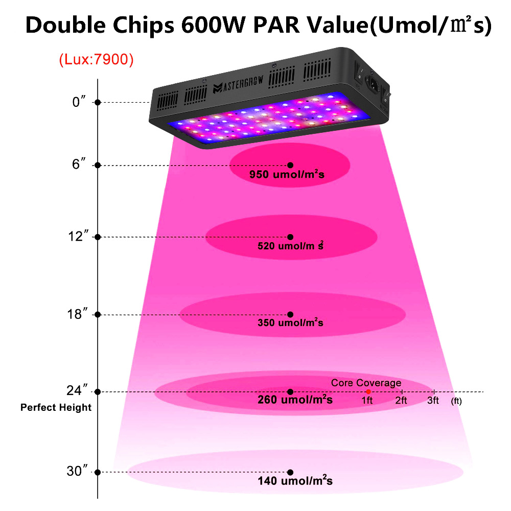 LED Grow Light 600/800/900/100 – Grow Tent Complete Kit Bewertung und Preis