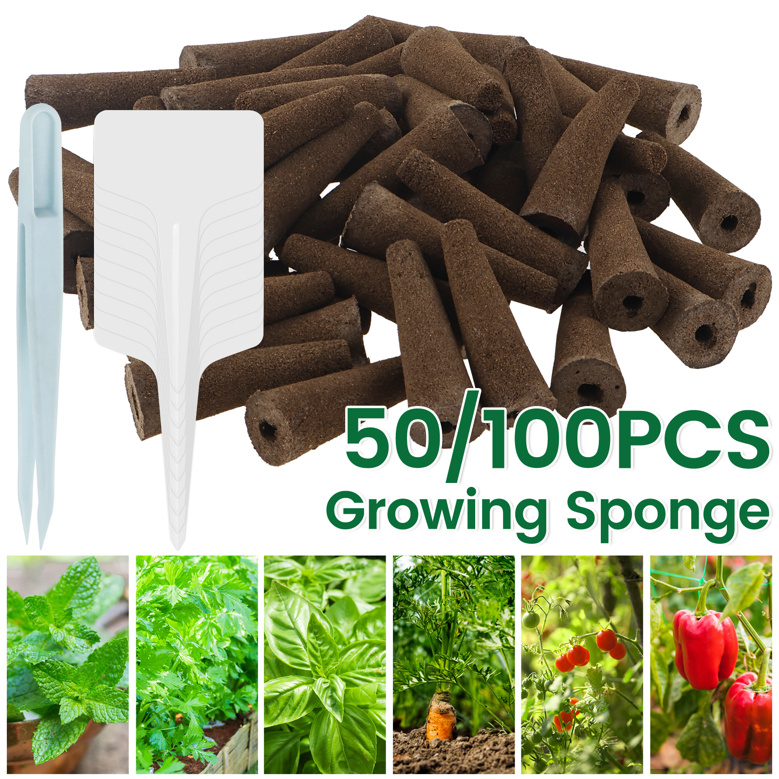 100Pcs Seed Grow Sponges Repla – Aerogarden Seed Pod Bewertung und Preis