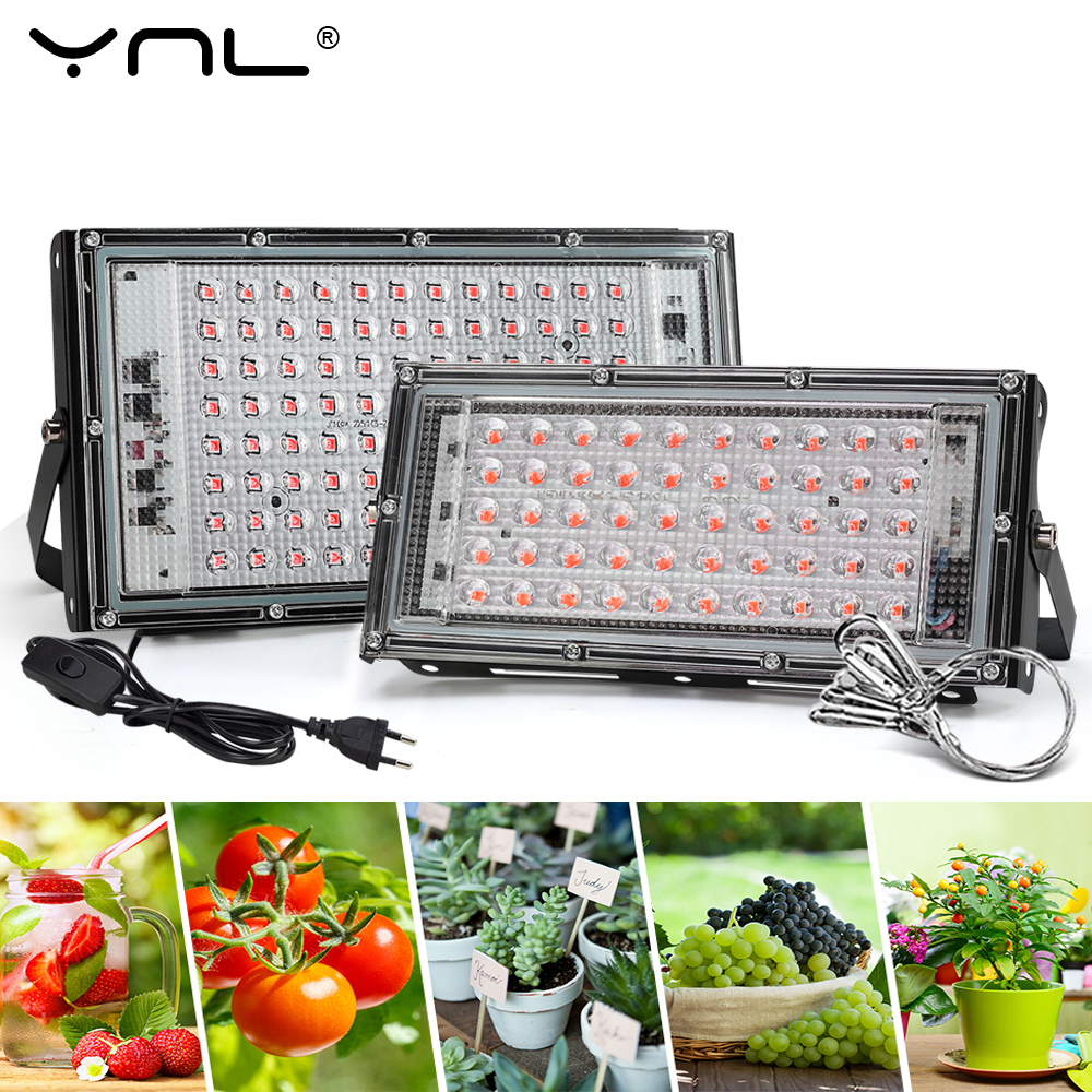 Full Spectrum LED Grow Light P – Grow Tent Complete Kit Bewertung und Preis