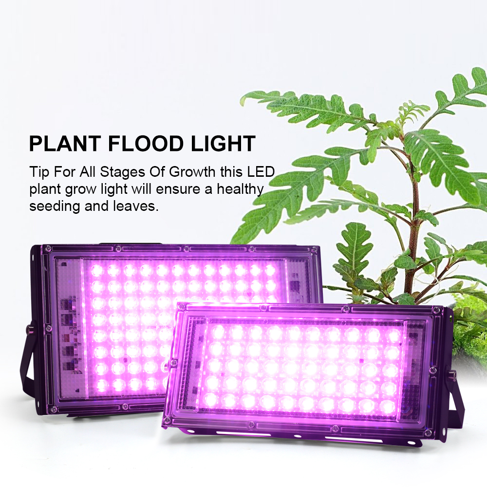 Full Spectrum LED Grow Light P – Grow Tent Complete Kit Bewertung und Preis