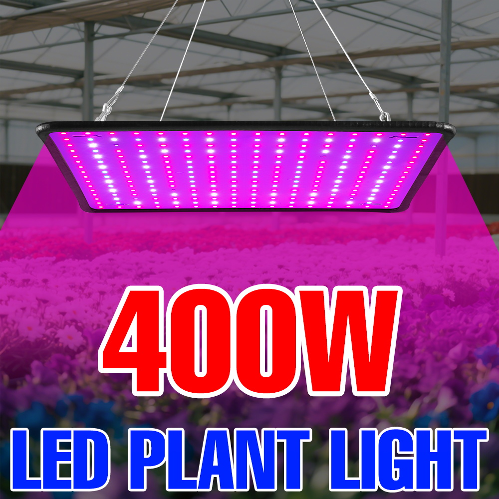400W LED Grow Light Full Spect – Grow Tent Complete Kit Bewertung und Preis