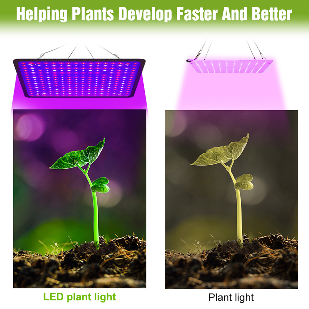 400W LED Grow Light Full Spect – Grow Tent Complete Kit Bewertung und Preis