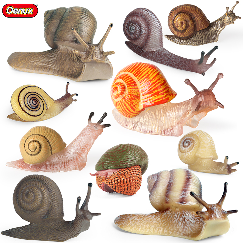 Oenux Wild Insect Animals Snai – Smart Garden Storage Bewertung und Preis