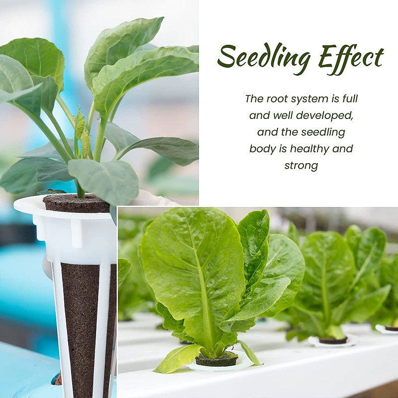 15/30Pcs Hydroponic Colonizati – Aerogarden Seed Pod Bewertung und Preis
