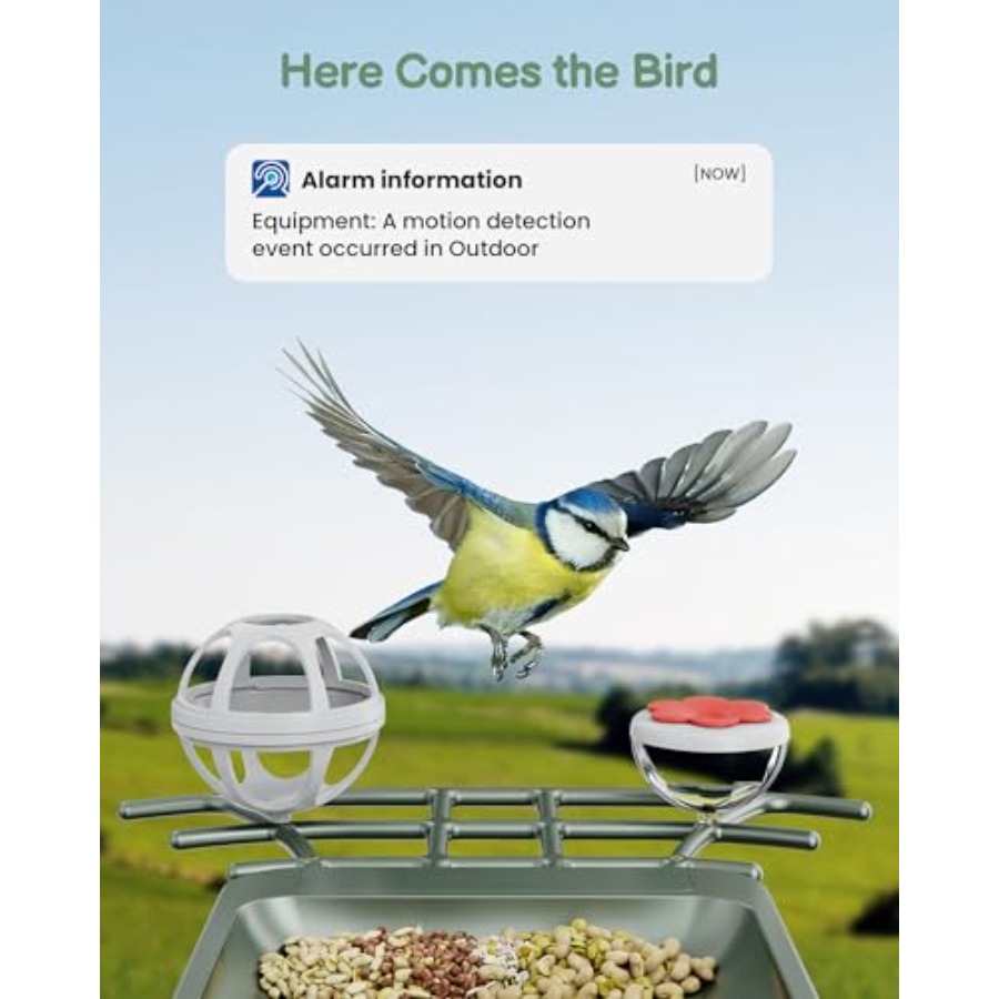 Smart Bird Feeder with Camera  – Smart Garden Domes Bewertung und Preis