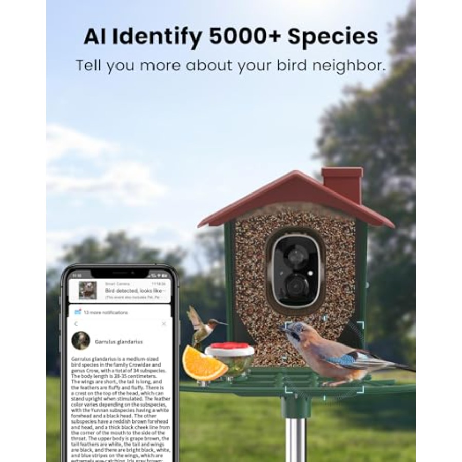Smart Bird Feeder with Camera  – Smart Garden Domes Bewertung und Preis