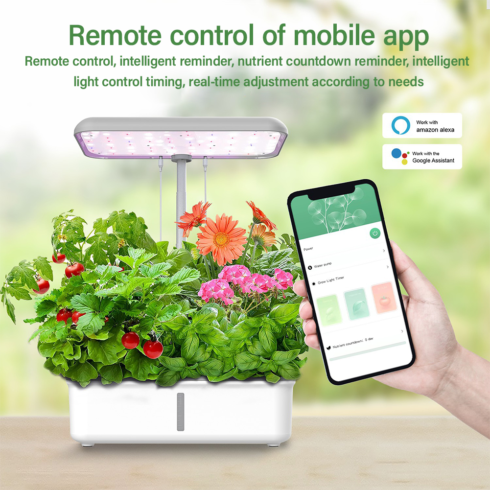 Tuya WiFi Plant Hydroponics Sy – Smart Garden Domes Bewertung und Preis