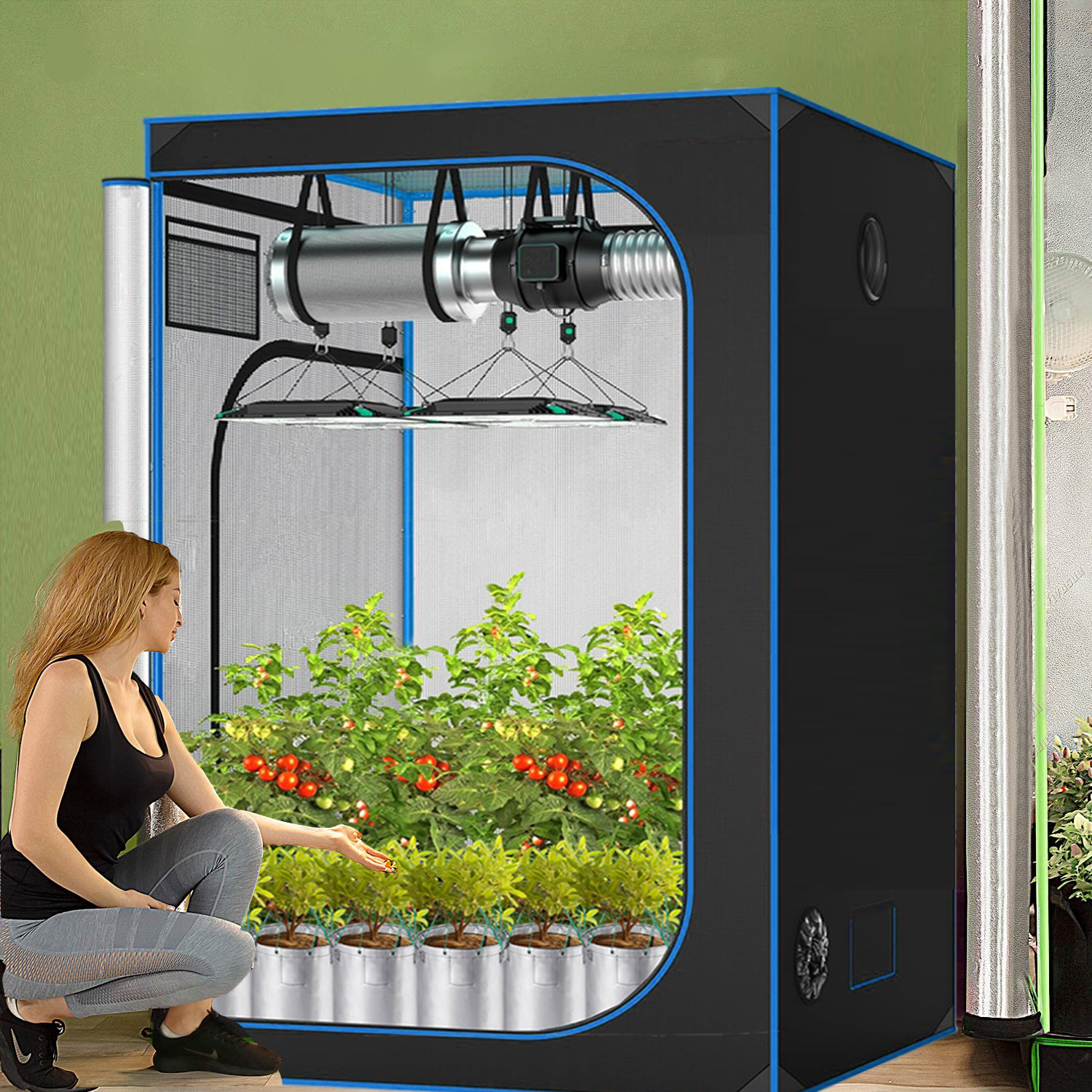 C3 Greenhouse Indoor Grow Tent – Grow Tent Complete Kit Bewertung und Preis
