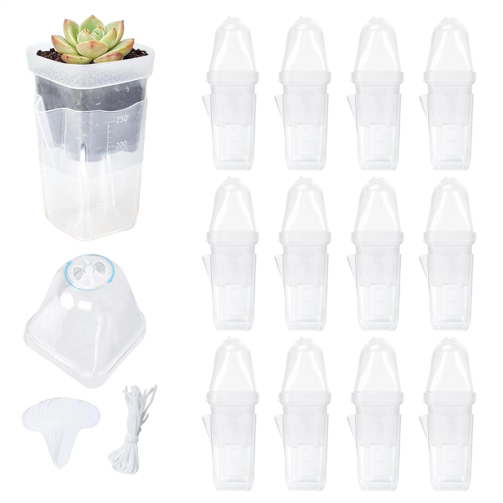 Self Watering Plant Pots 12 Pi – Smart Garden Domes Bewertung und Preis