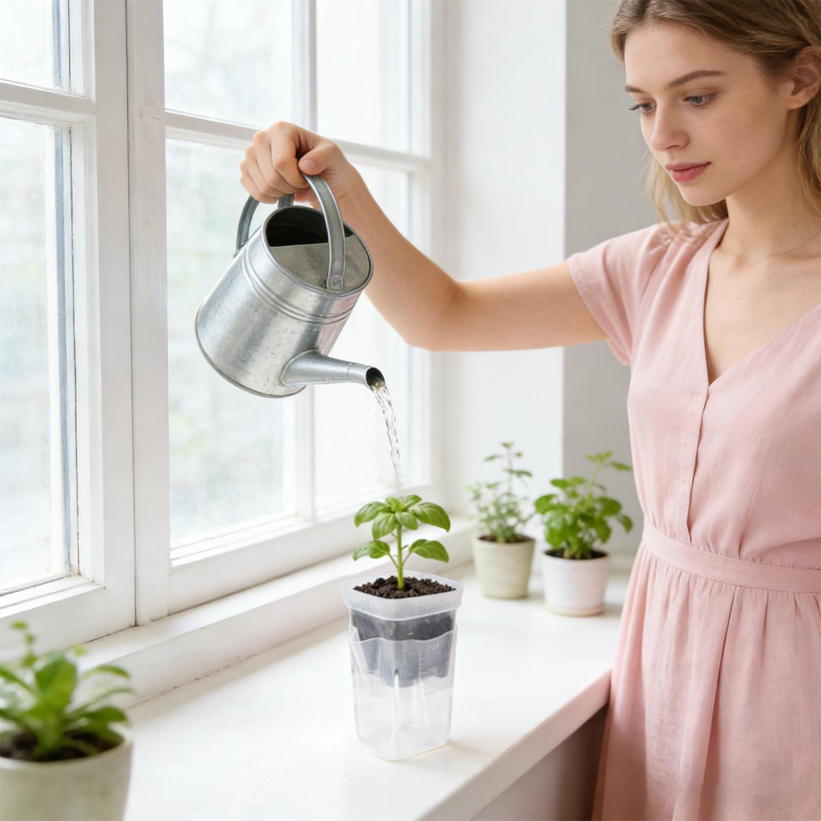 Self Watering Plant Pots 12 Pi – Smart Garden Domes Bewertung und Preis
