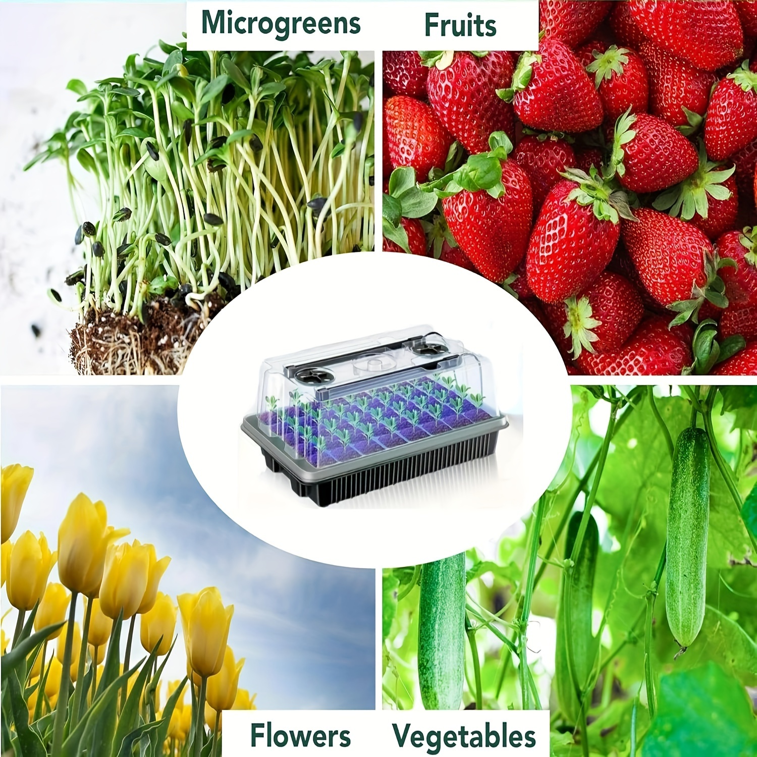 40/Cell Seed Starter Kit with  – Smart Garden Domes Bewertung und Preis