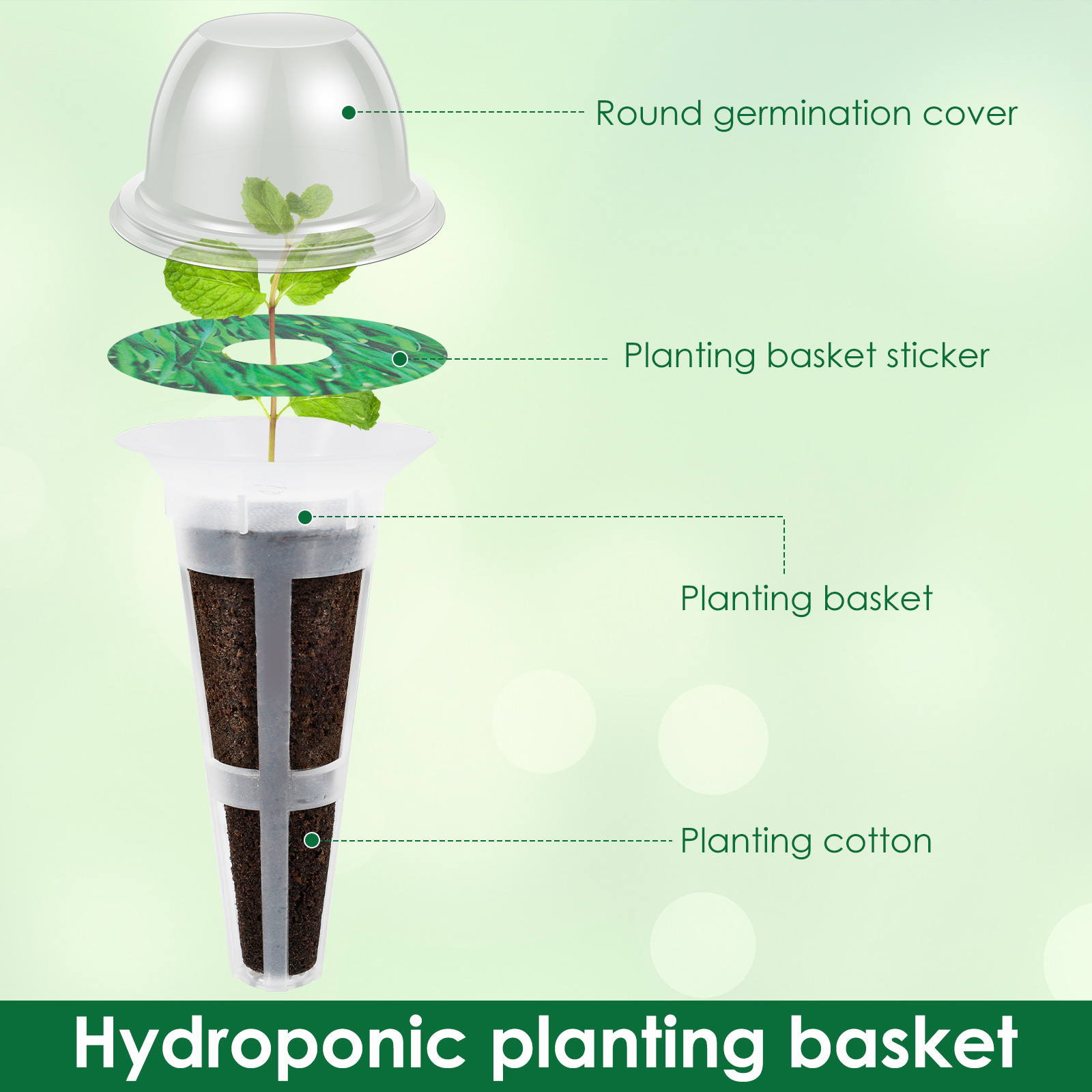 50Pcs Hydroponic Pods Kit Seed – Aerogarden Seed Pod Bewertung und Preis