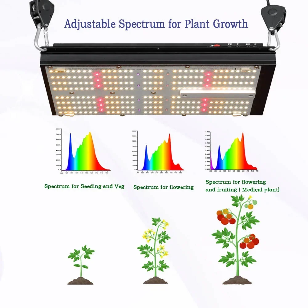 BAVAGREEN Hydroponic System Sm – Grow Tent Complete Kit Bewertung und Preis