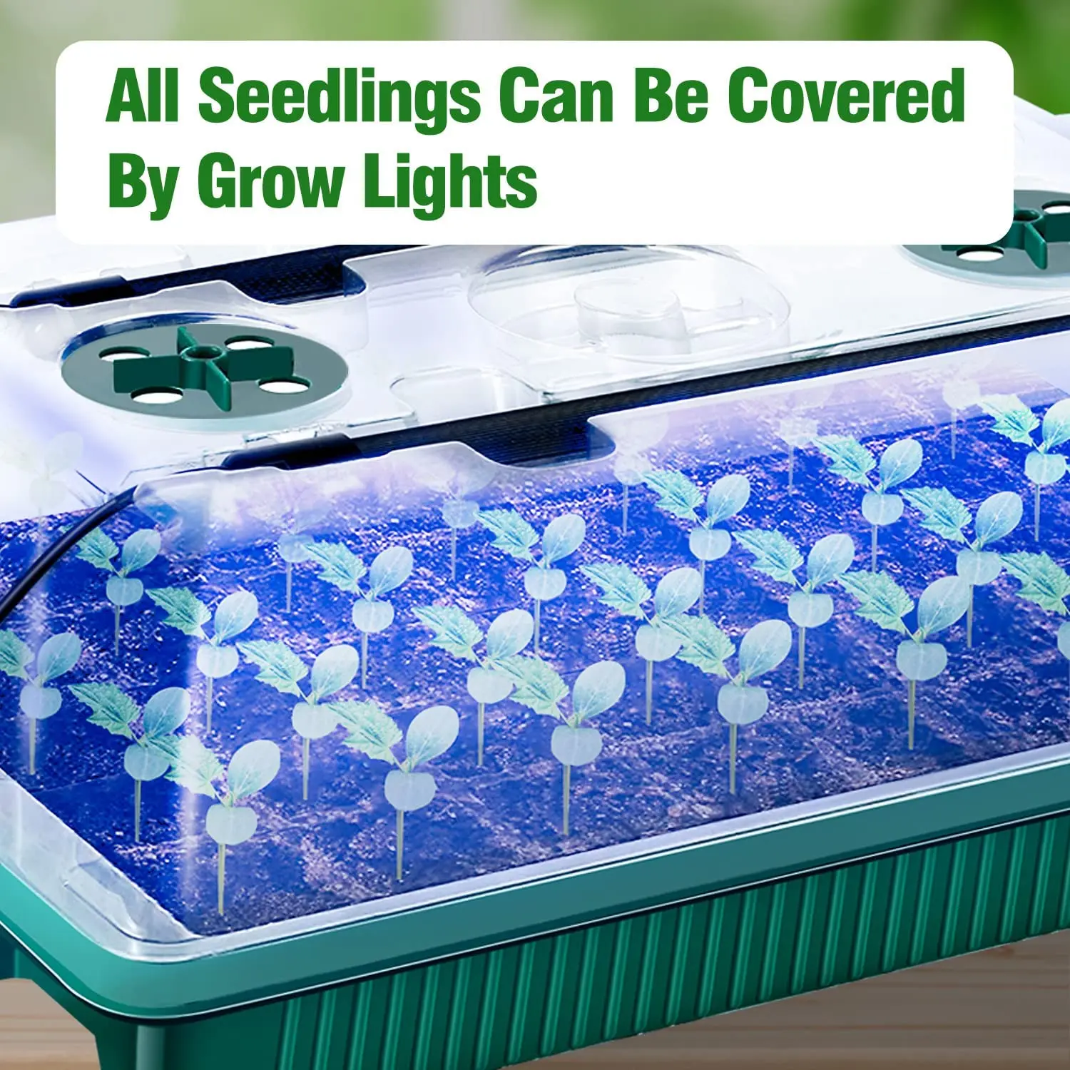 2 Packs, Seed Starter Trays Wi – Smart Garden Domes Bewertung und Preis