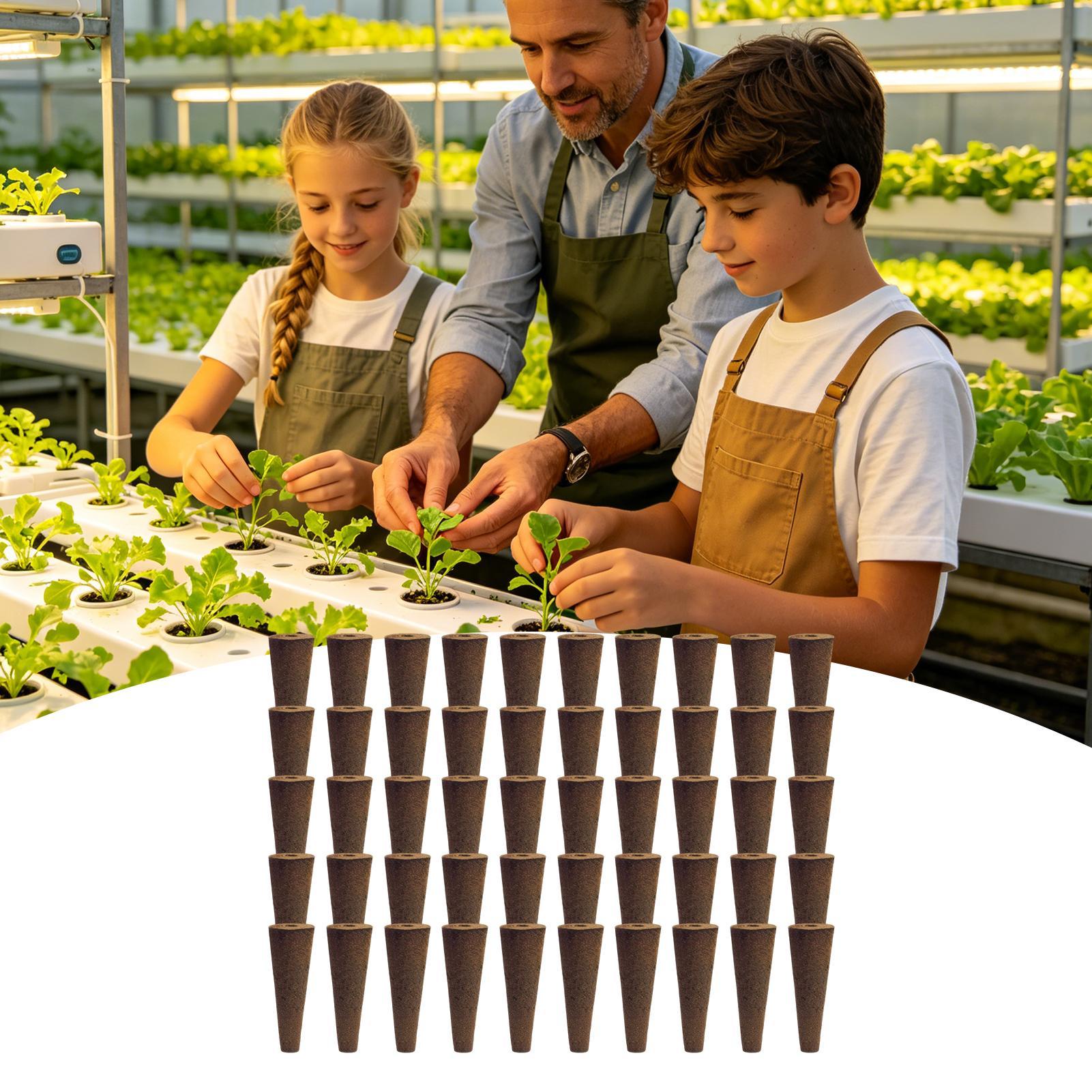 50 Piece Hydroponic Sponges Re – Aerogarden Seed Pod Bewertung und Preis