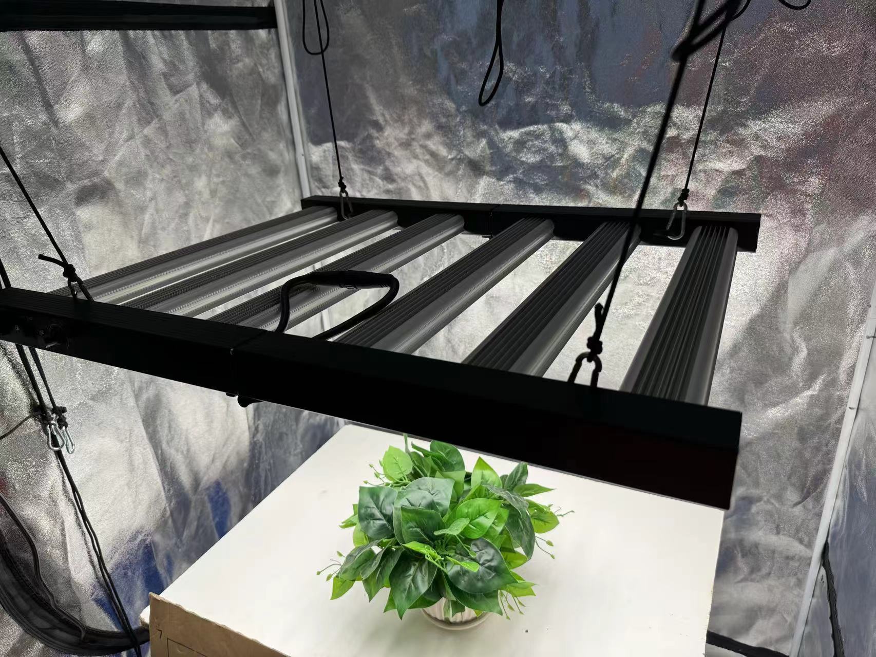 4x4 Grow Tent Complete Kit, In – Grow Tent Complete Kit Bewertung und Preis