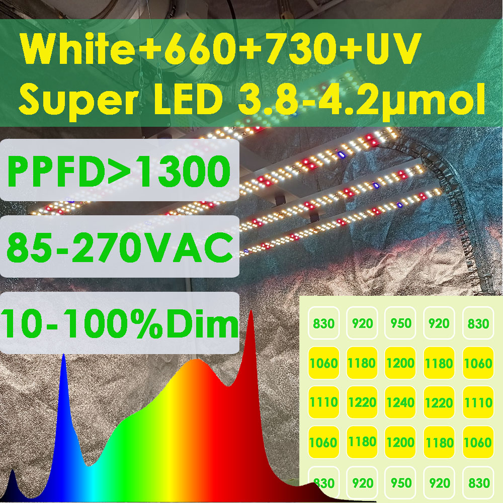 SOLIDEE 240W Quick Spider L2 L – Grow Tent Complete Kit Bewertung und Preis