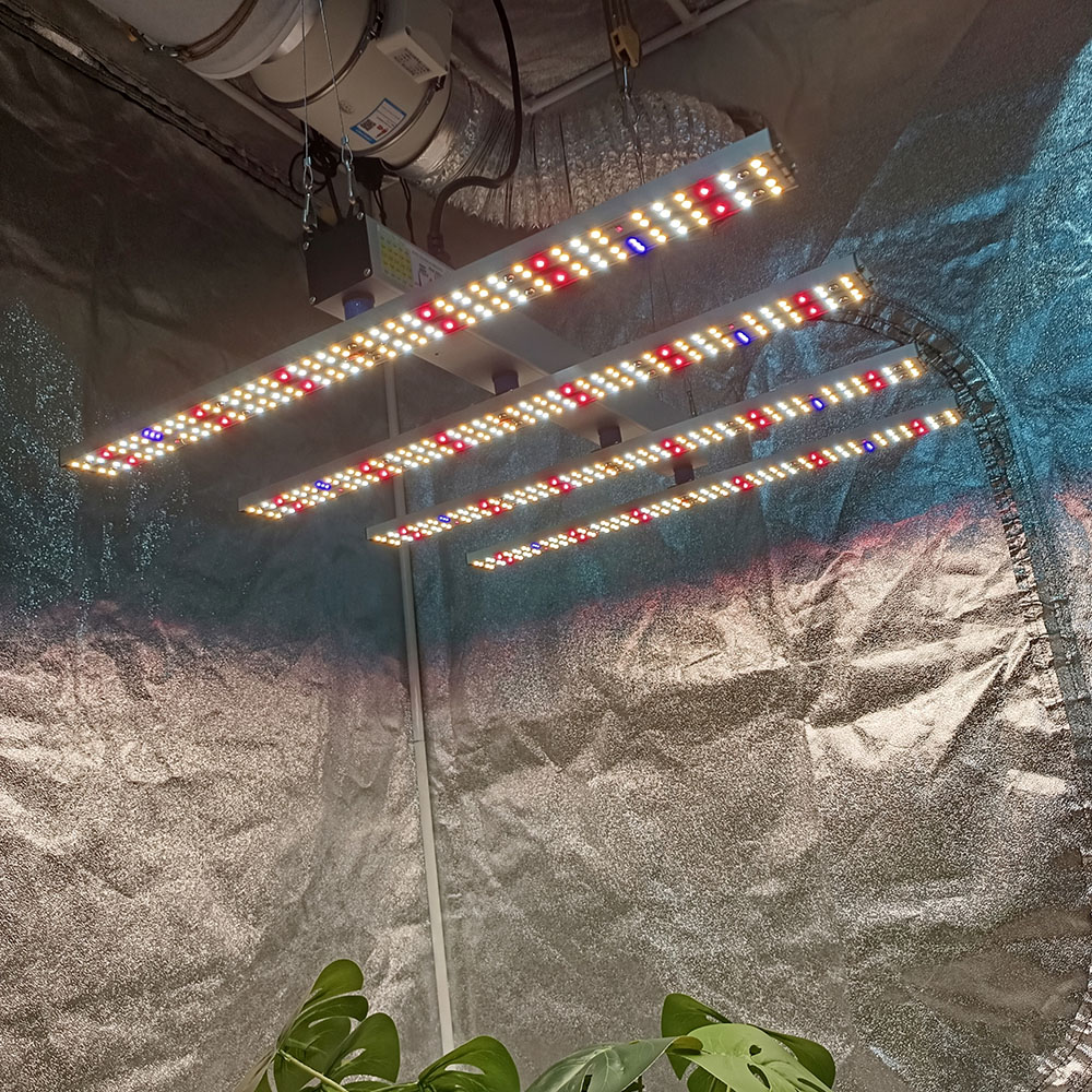 SOLIDEE 240W Quick Spider L2 L – Grow Tent Complete Kit Bewertung und Preis