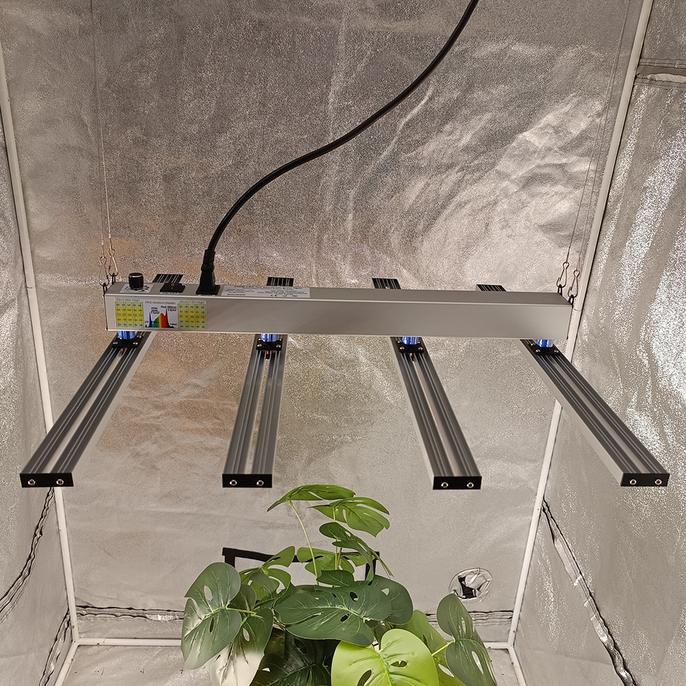 SOLIDEE 240W Quick Spider L2 L – Grow Tent Complete Kit Bewertung und Preis