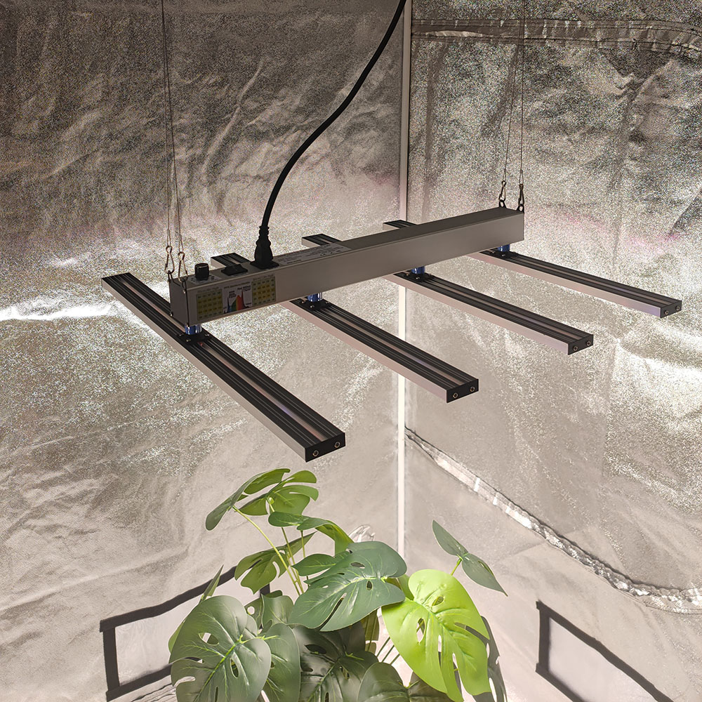 SOLIDEE 240W Quick Spider L2 L – Grow Tent Complete Kit Bewertung und Preis