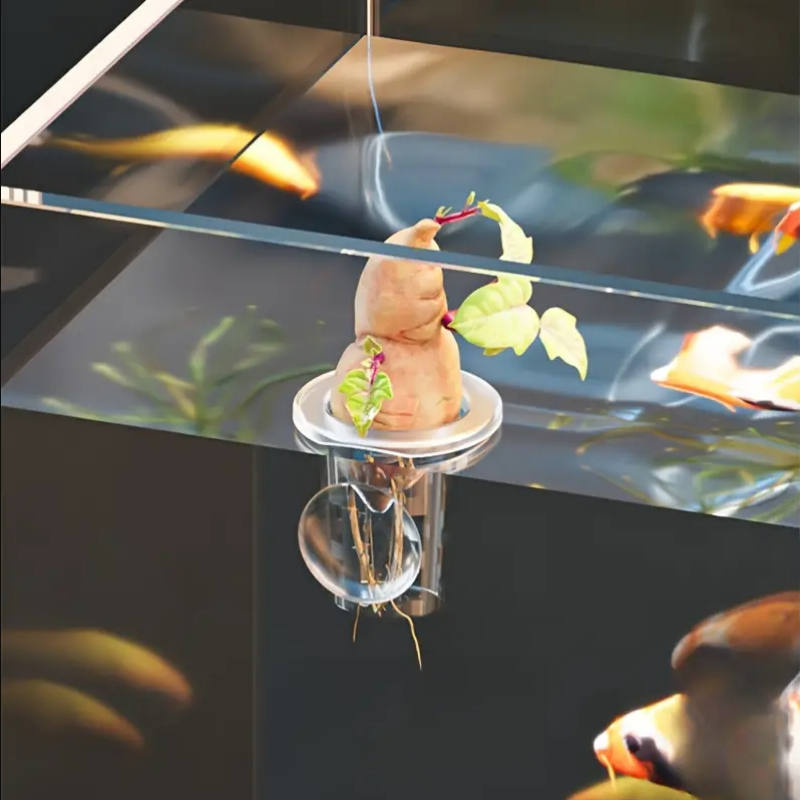10pcs Hydroponic Basket Vegeta – Aerogarden Seed Pod Bewertung und Preis