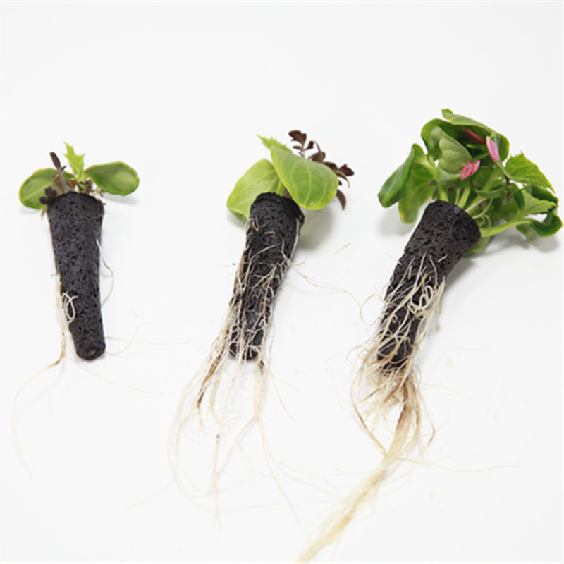 50/100pcs Plant Grow Basket Fo – Aerogarden Seed Pod Bewertung und Preis