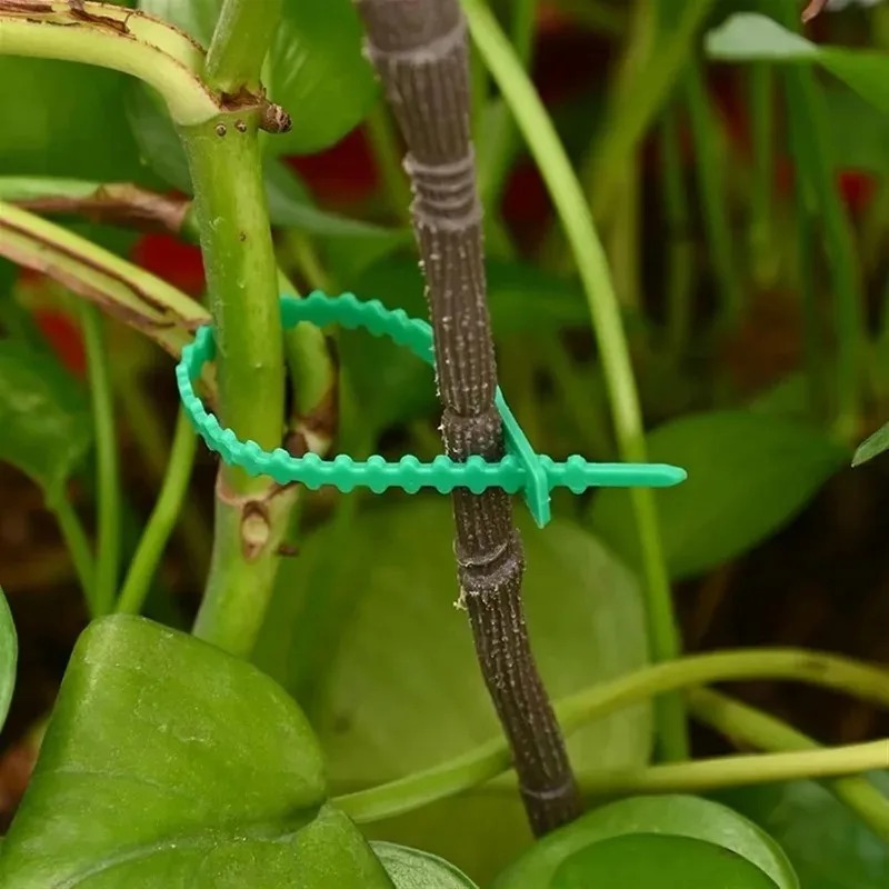 Reusable Garden Cable Ties Pla – Smart Garden Storage Bewertung und Preis