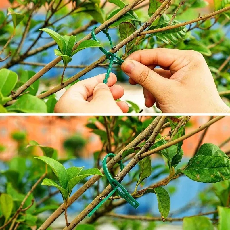 Reusable Garden Cable Ties Pla – Smart Garden Storage Bewertung und Preis