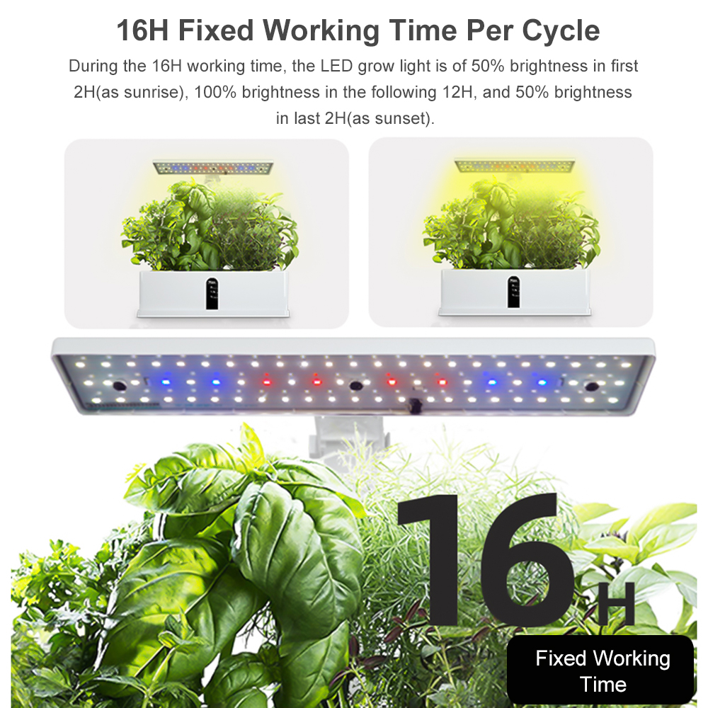 Smart Hydroponics Growing Syst – Smart Garden Domes Bewertung und Preis