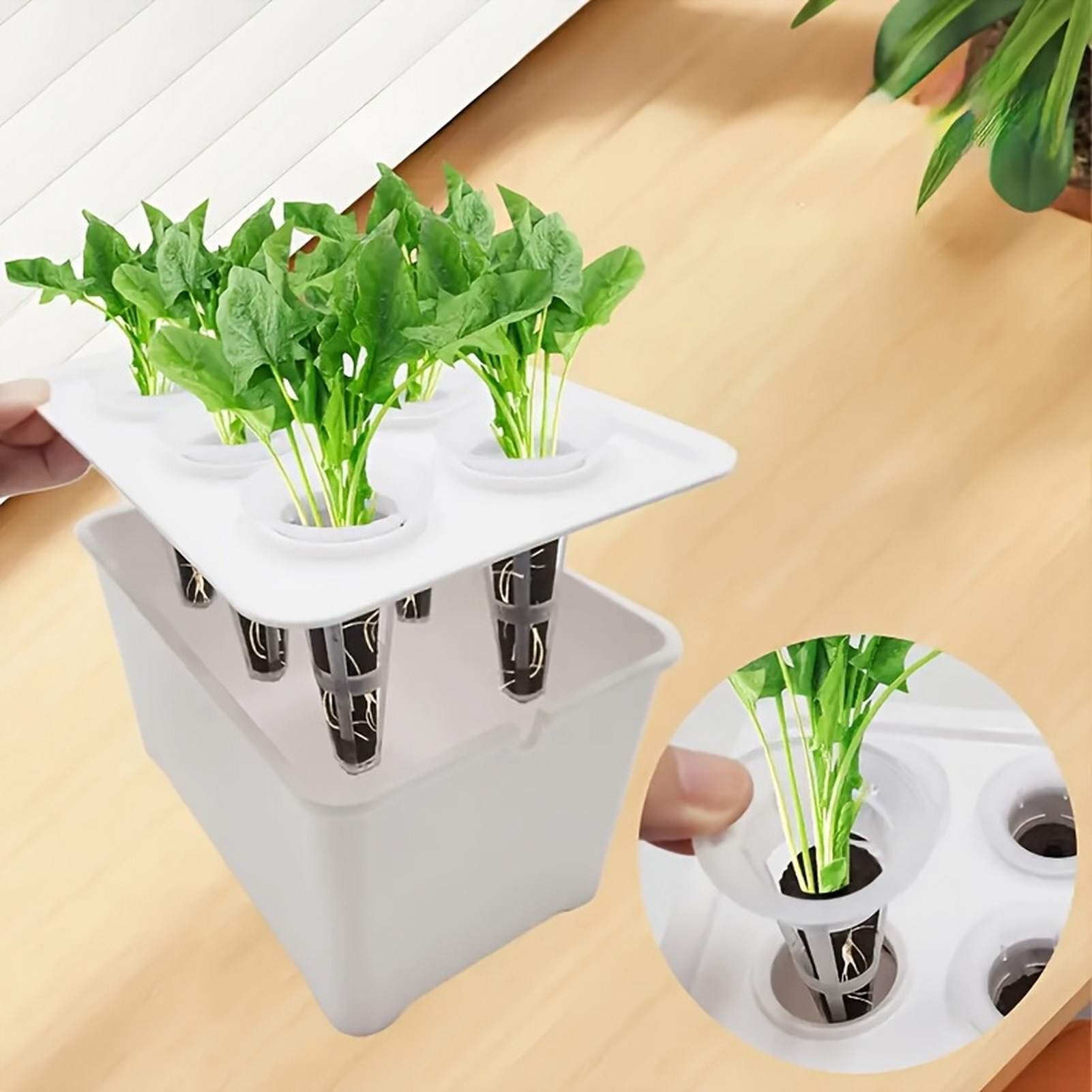 Professional Hydroponic Grower – Aerogarden Seed Pod Bewertung und Preis