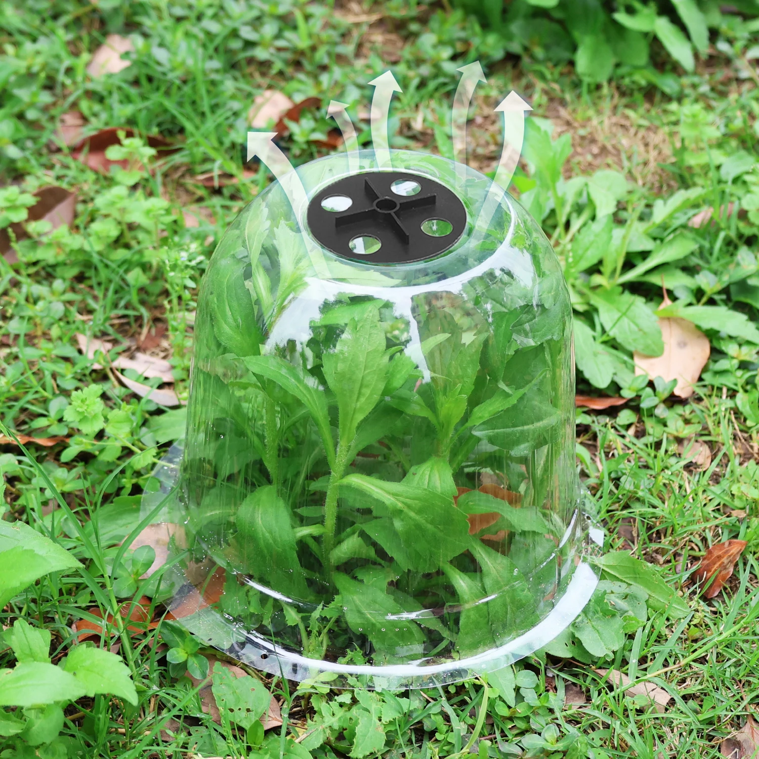 Mini Plastic Greenhouse Frost  – Smart Garden Domes Bewertung und Preis