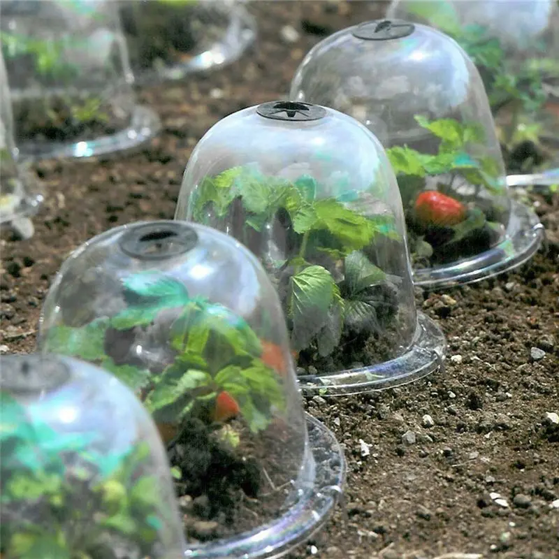 Mini Plastic Greenhouse Frost  – Smart Garden Domes Bewertung und Preis