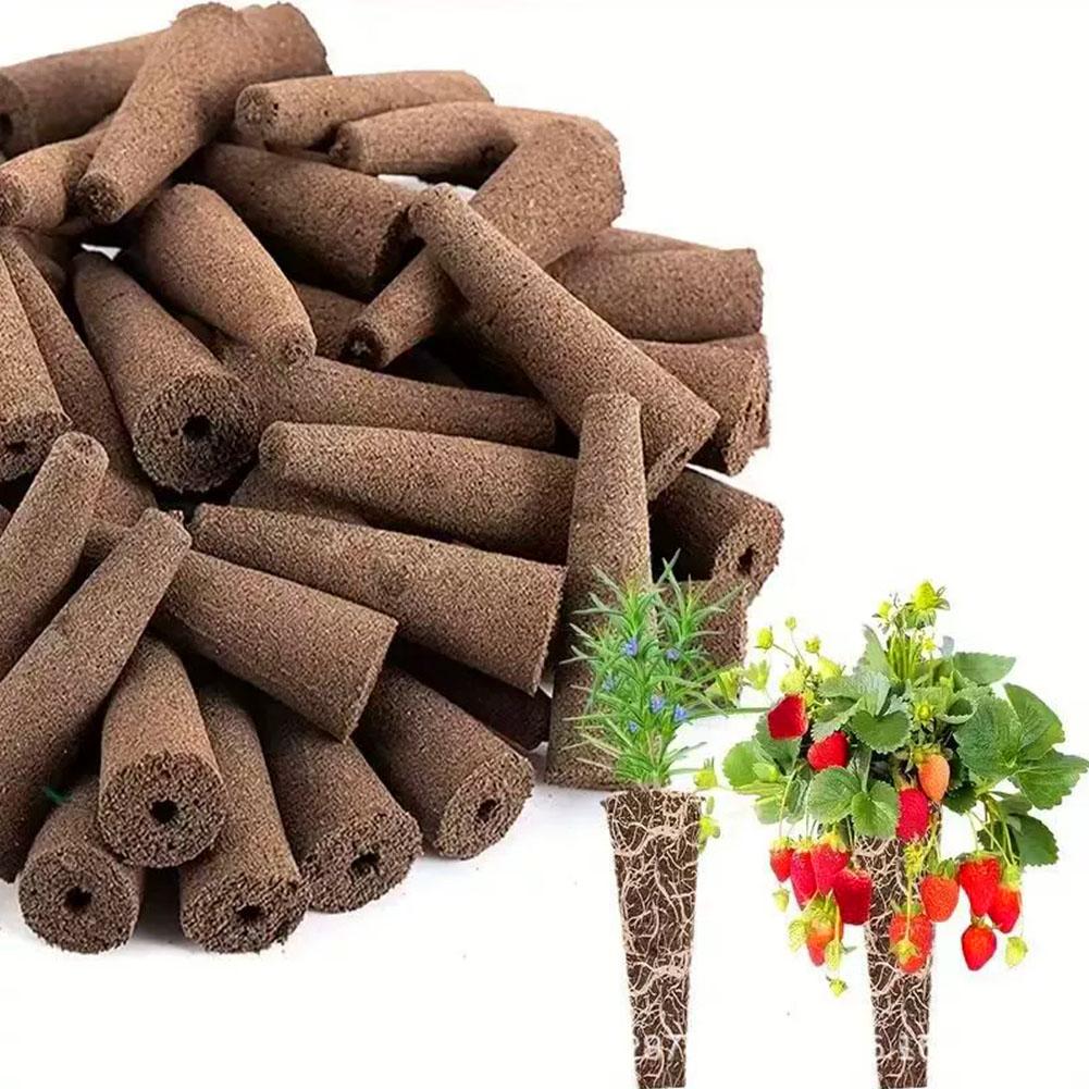 Seed Grow Sponges Replacement  – Aerogarden Seed Pod Bewertung und Preis