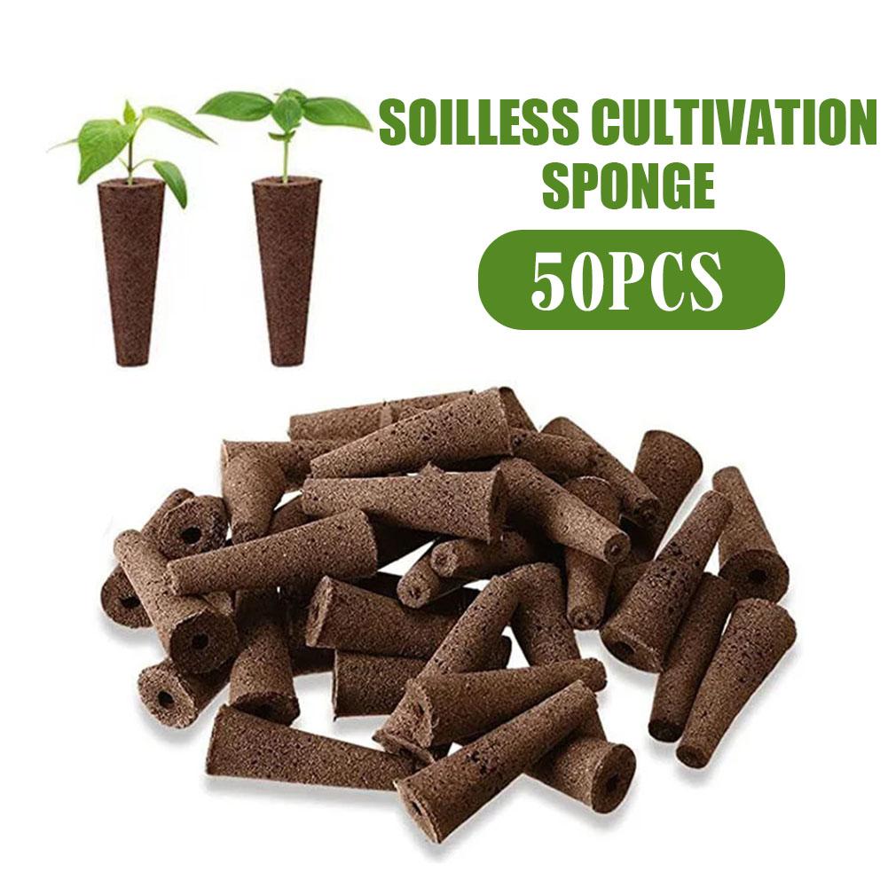 Seed Grow Sponges Replacement  – Aerogarden Seed Pod Bewertung und Preis